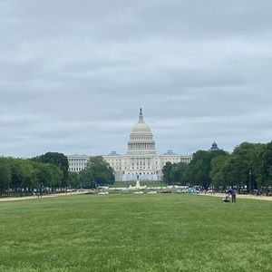 Meet your Posher, Tess